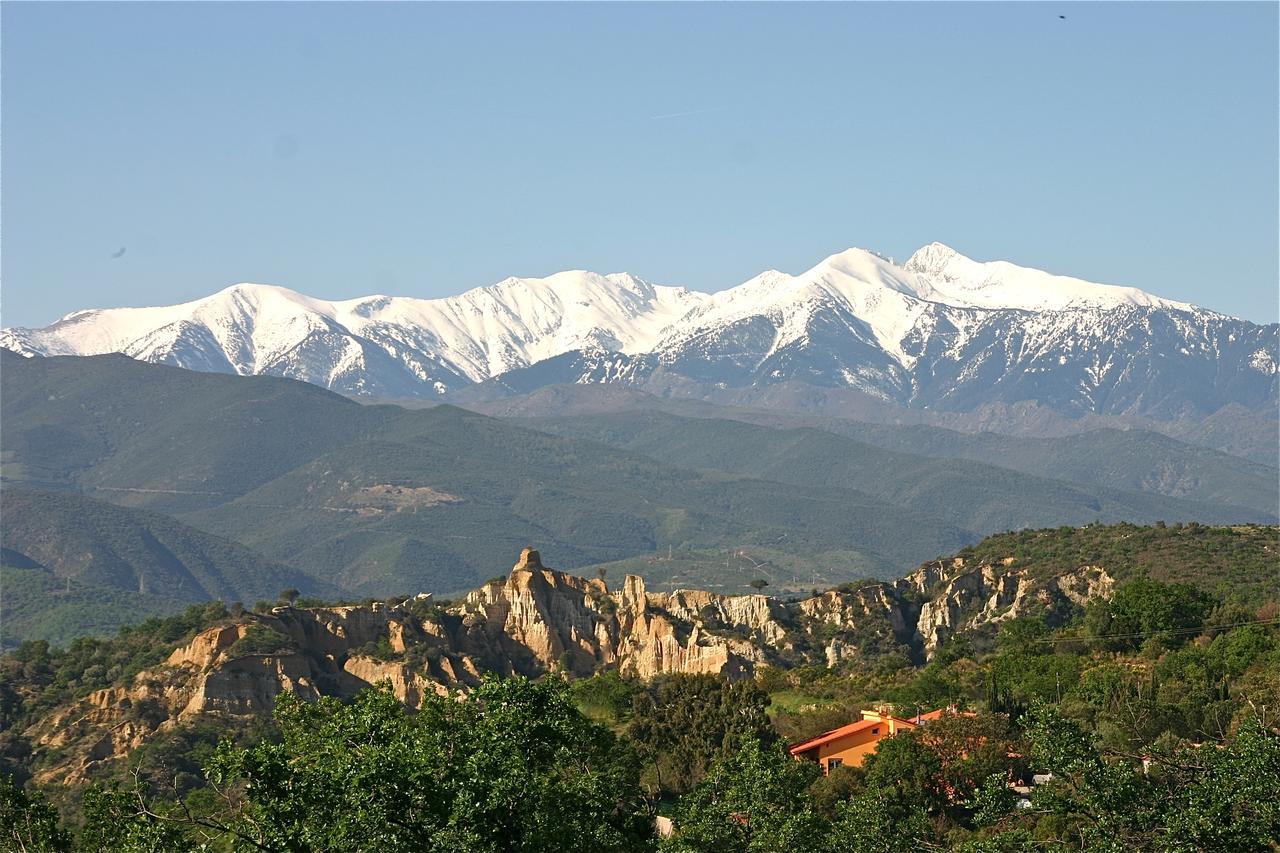 Gite Des Orgues De La Sybille Agave Canigou Ngoại thất bức ảnh