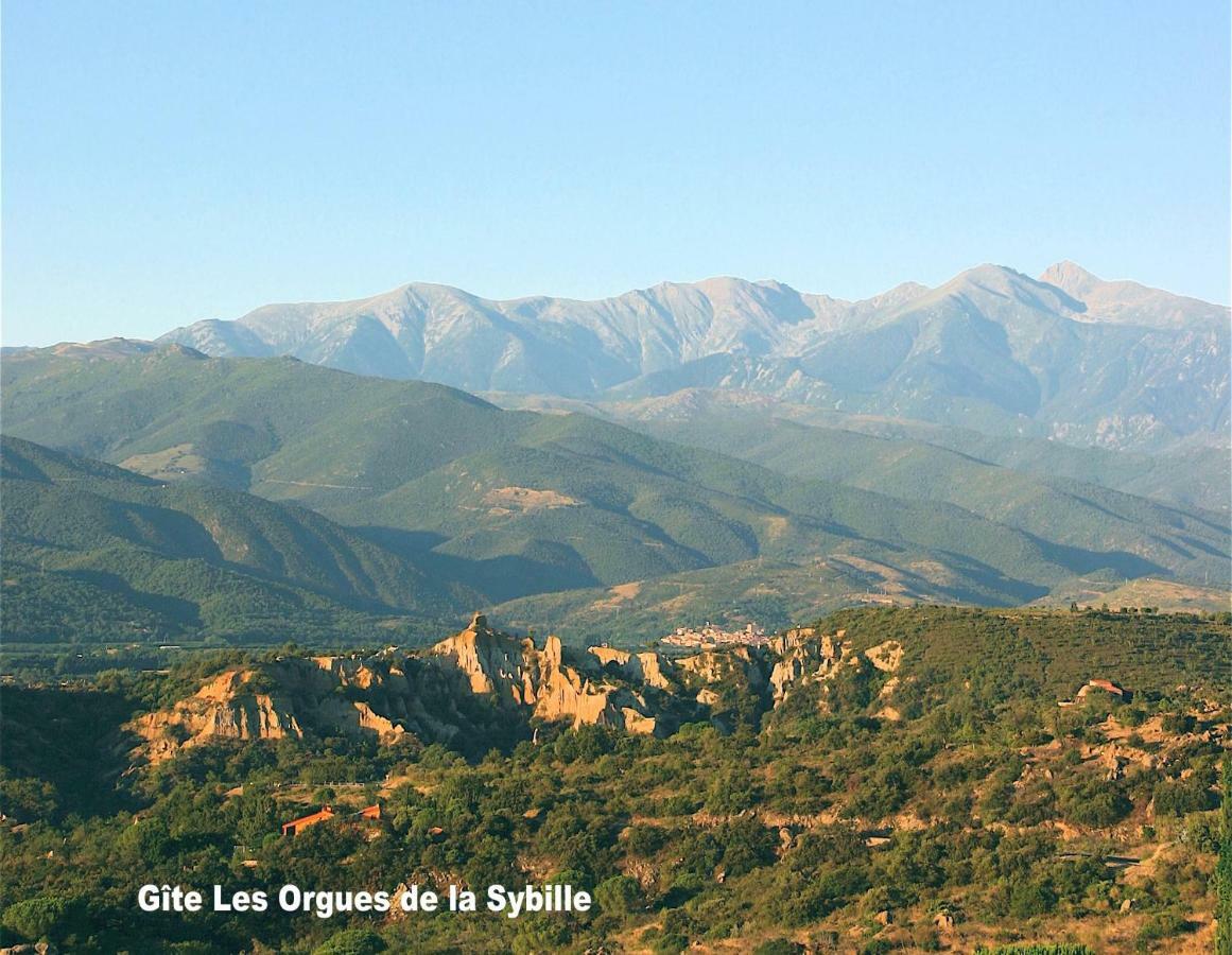 Gite Des Orgues De La Sybille Agave Canigou Ngoại thất bức ảnh